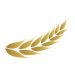 ‎⁨سنبلة⁩ png